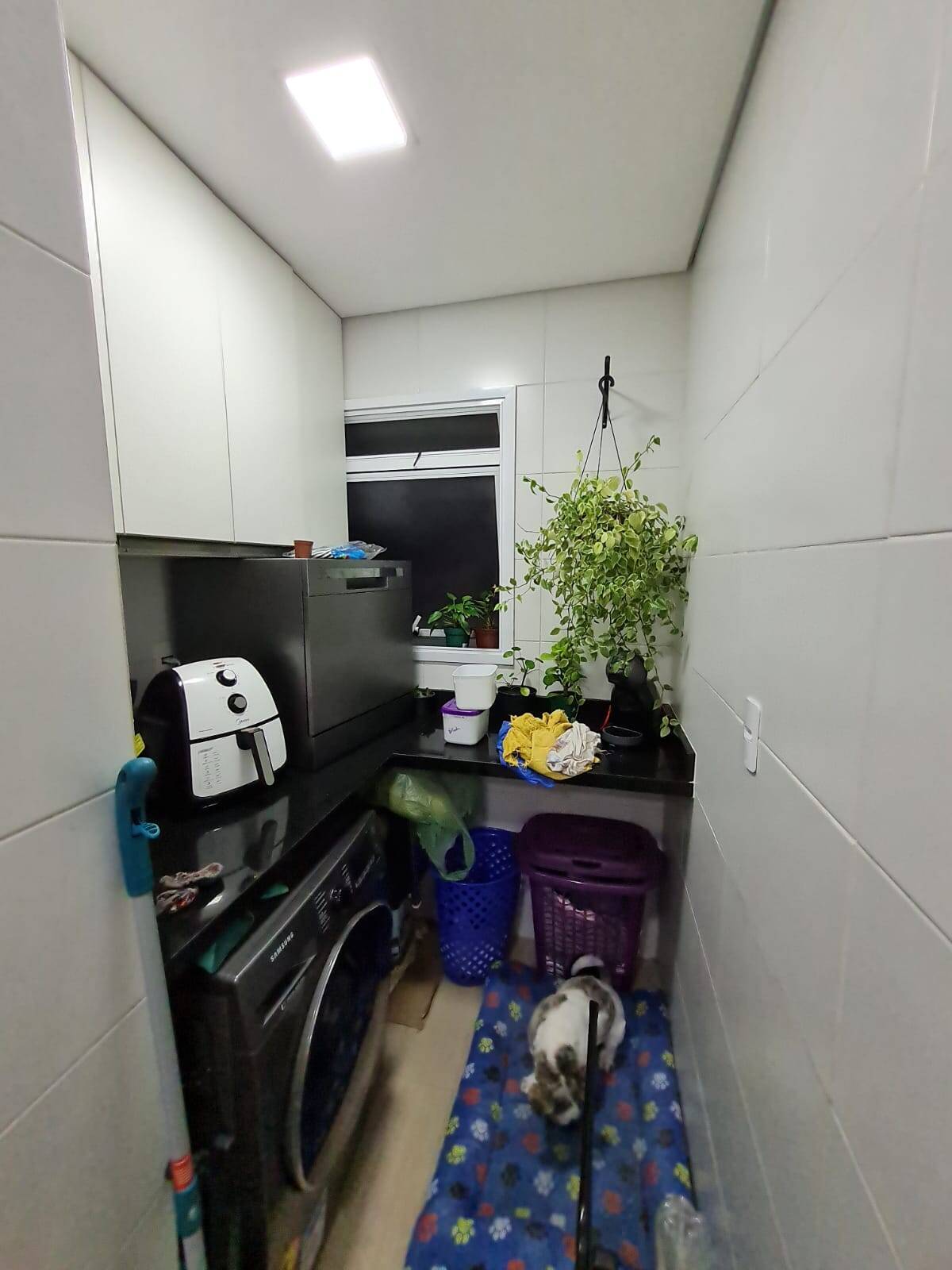 Apartamento à venda com 2 quartos, 66m² - Foto 4